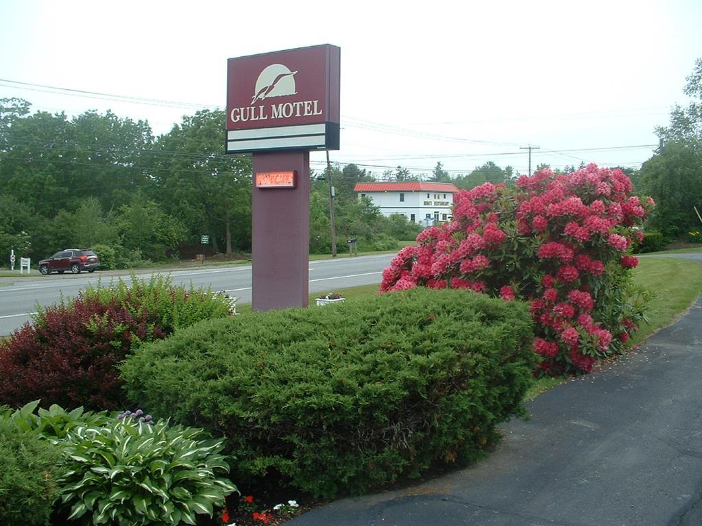 The Gull Motel, Belfast Zewnętrze zdjęcie